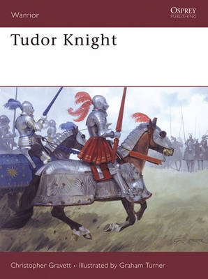 Book cover for Tudor Knight