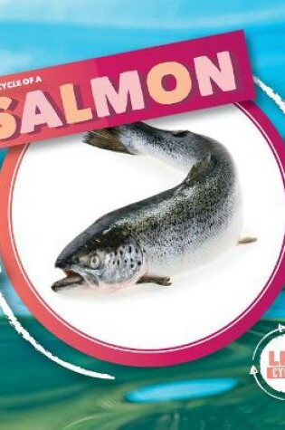 Cover of Life Cycle of Salmon