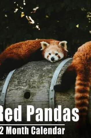 Cover of Calendrier 2021 Red Pandas