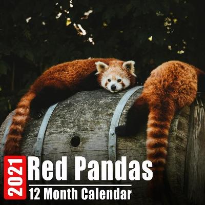 Book cover for Calendrier 2021 Red Pandas