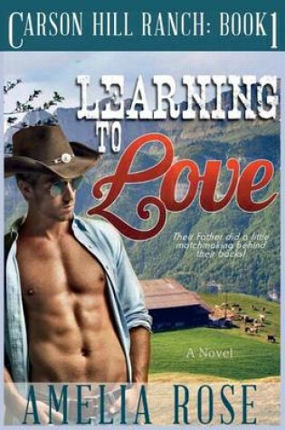 Cover of Learning To Love