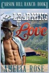 Book cover for Learning To Love