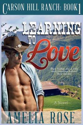 Cover of Learning To Love