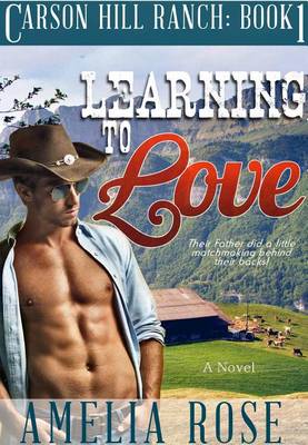 Book cover for Learning to Love