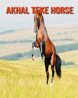 Book cover for Akhal Teke Horse