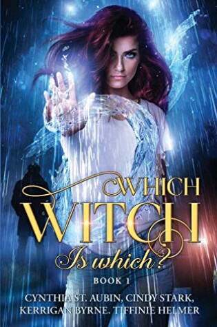 Cover of Which Witch is Which?