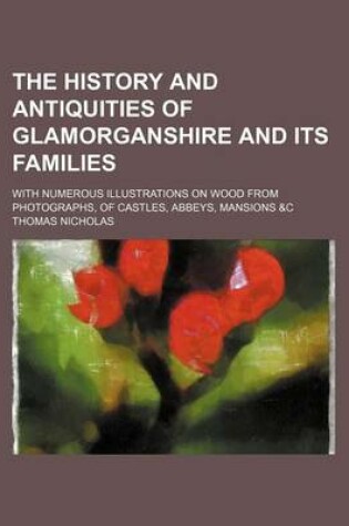 Cover of The History and Antiquities of Glamorganshire and Its Families; With Numerous Illustrations on Wood from Photographs, of Castles, Abbeys, Mansions &C