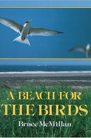 Cover of A Beach for the Birds