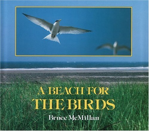 Book cover for A Beach for the Birds