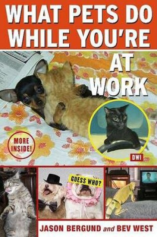 Cover of What Pets Do While You're at Work