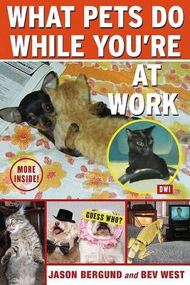 Book cover for What Pets Do While You're at Work