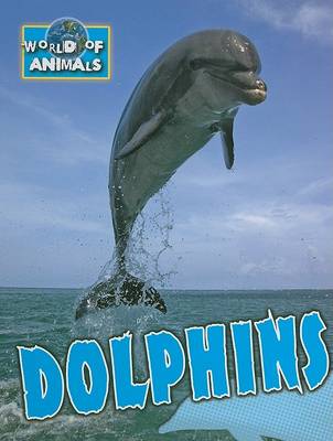 Book cover for Dolphins