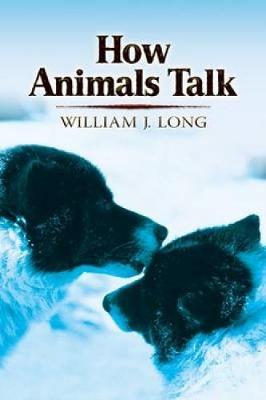 Book cover for How Animals Talk