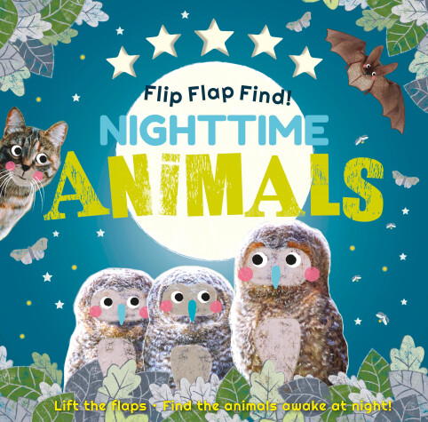 Cover of Flip Flap Find! Night-time Animals