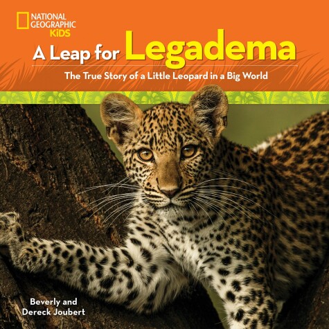 Cover of A Leap for Legadema