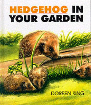 Book cover for Hedgehog in Your Garden