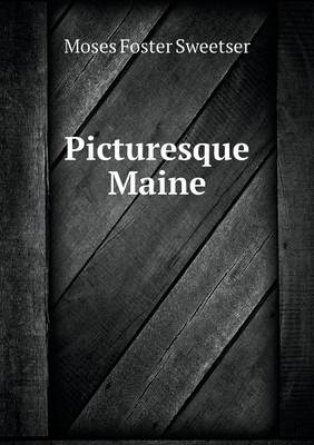 Book cover for Picturesque Maine