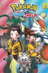 Book cover for Pokémon: Sword & Shield, Vol. 11