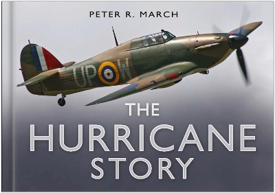 Cover of The Hurricane Story