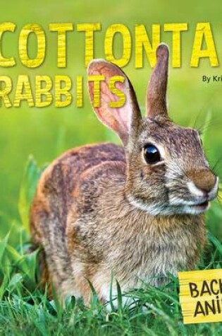 Cover of Cottontail Rabbits