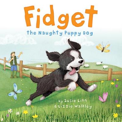 Book cover for Fidget