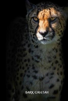 Book cover for dark cheetah