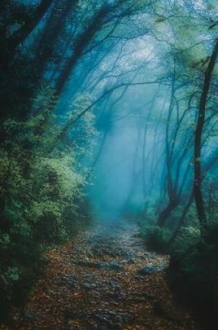 Cover of Into the Woods on a Magical Misty Morning