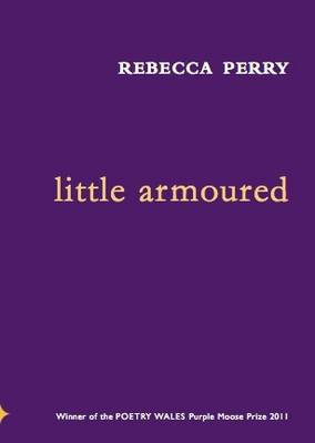 Book cover for Little Armoured