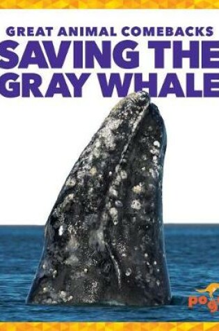 Cover of Saving the Gray Whale