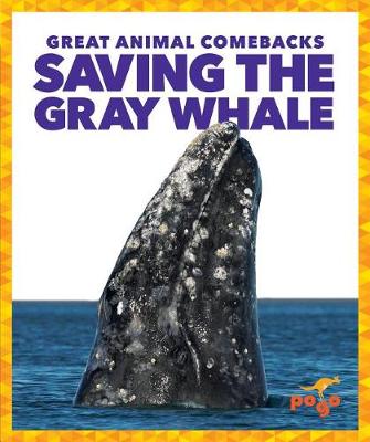 Cover of Saving the Gray Whale