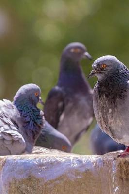 Book cover for New York City Pigeons Journal