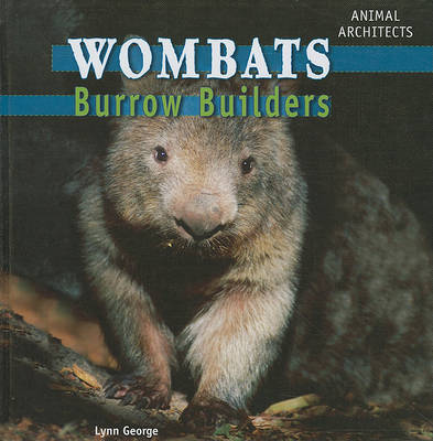 Book cover for Wombats