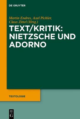 Book cover for Text/Kritik: Nietzsche Und Adorno