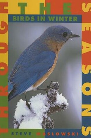 Cover of Birds in Winter