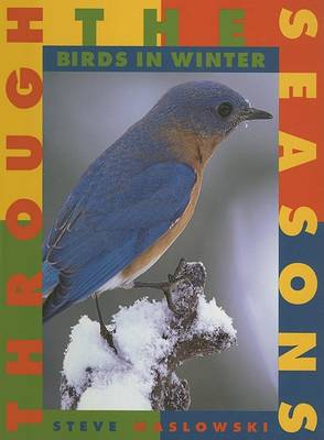 Book cover for Birds in Winter