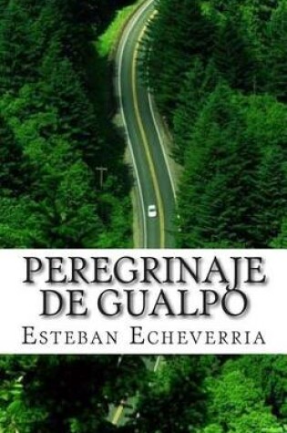 Cover of Peregrinaje de Gualpo