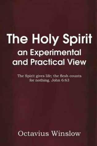 Cover of The Holy Spirit an Experimental and Practical View