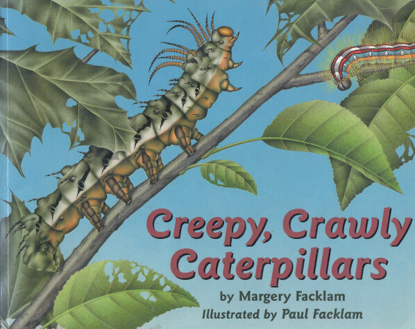 Book cover for Creepy, Crawly Caterpillars