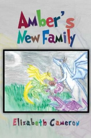 Cover of Amber's New Family