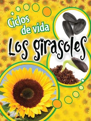 Book cover for Ciclos de Vida Los Girasoles