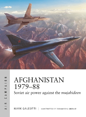 Book cover for Afghanistan 1979–88
