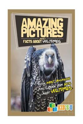 Book cover for Amazing Pictures and Facts about Vultures