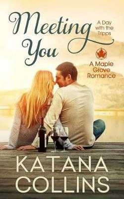 Book cover for Meeting You