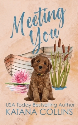 Book cover for Meeting You