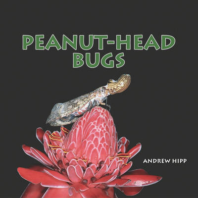 Book cover for Peanut-Head Bugs