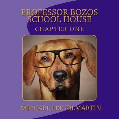 Book cover for Professor Bozo's School House
