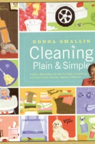 Cover of Cleaning Plain and Simple