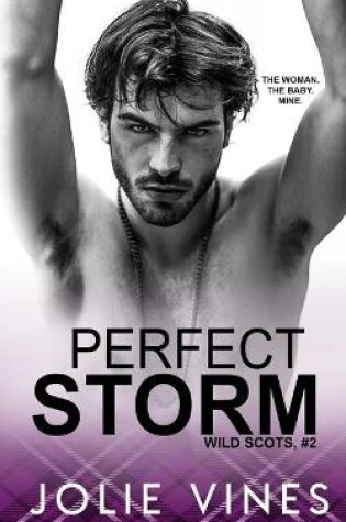 Cover of Perfect Storm