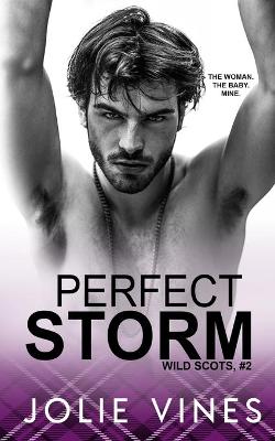 Cover of Perfect Storm