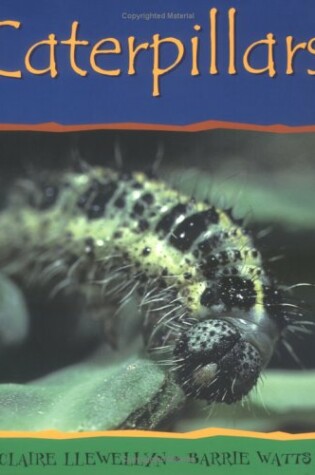 Cover of Caterpillars-PB